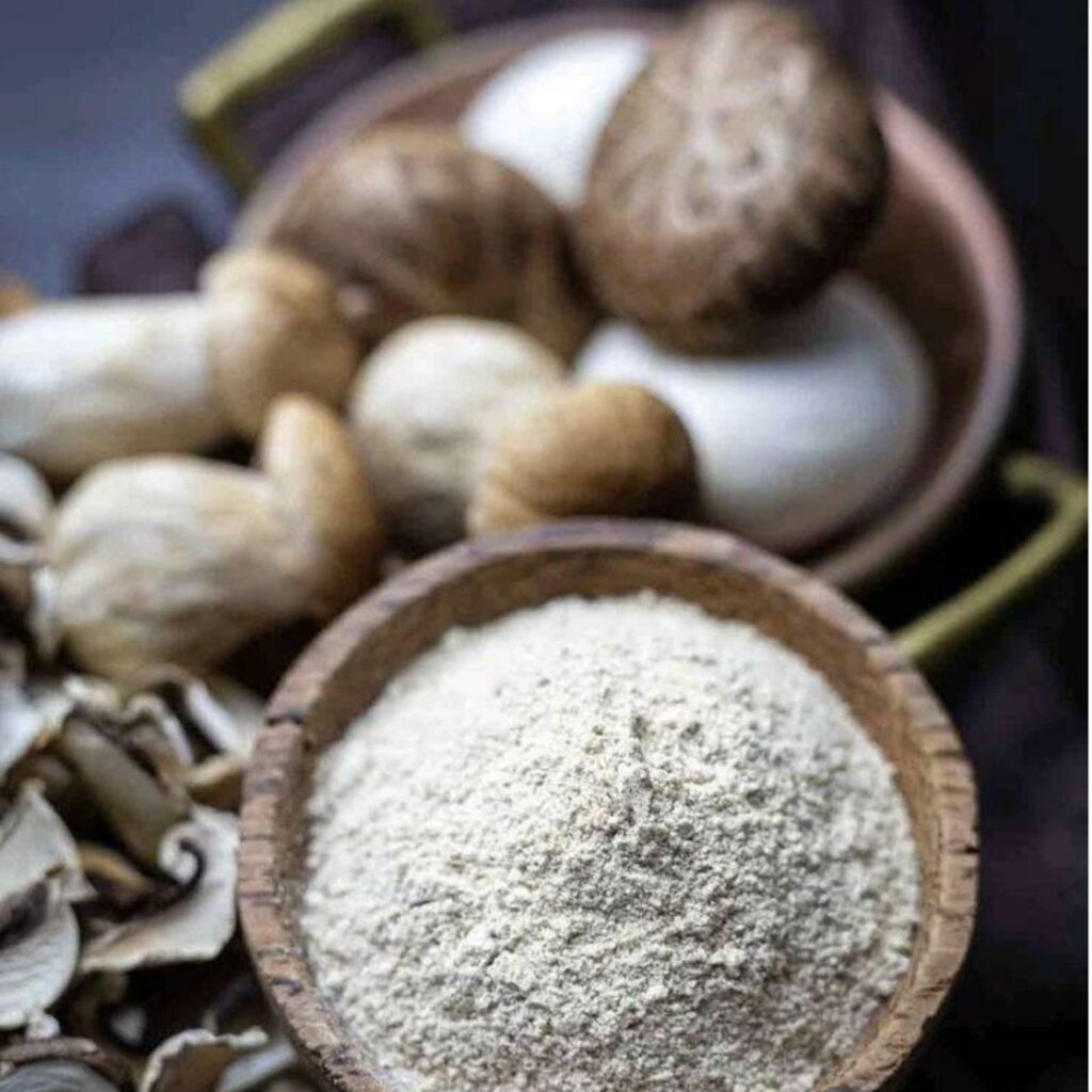 Mushroom Powder — premium export spice
